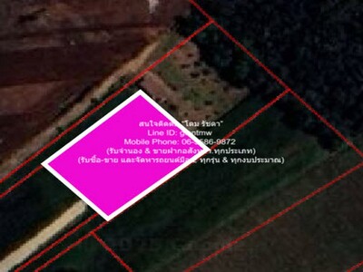 ขายที่ดินไร่สวนทางการเกษตร (ติดถนน และติดเขา) 1 ไร่ (400 ตร.ว.) 05-04-2026