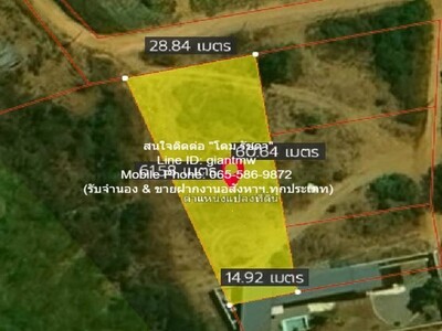 ��·��Թ���һҡ��ӻ�ҳ (��ҧ��·��Żҡ��ӻ�ҳ 3 ��.) 335.5 ��.� 05-04-2026