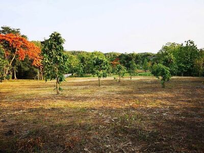 #⫹������ ���������鹵��.�� 8,000 �ҷ 6-3-49.6 ���. #�Դ��� 10-04-2026