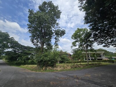 ��·��Թ���˭� �ŧ��� 289.9 ��.� ���ѷ�� 3 ��Ǹ����ҵ� �Դ���  11-04-2026