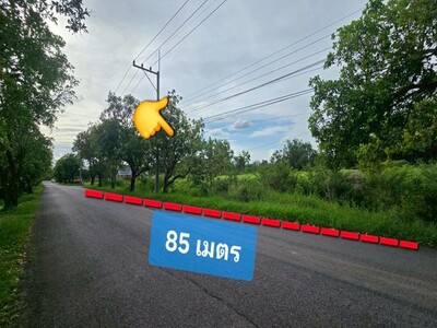ขายบ้านเดี่ยว คุณาลัย จอย ถนน บ้านกล้วย-ไทรน้อย บางบัวทอง นนทบุรี 11-04-2026