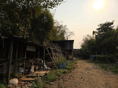 ���⡴ѧ ��Ъ�ҧ ������ 1 ��� 1 �ҹ 75 ��.� ��§��� 11-04-2026