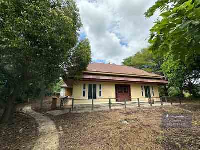 ��º�ҹ��������Թ ���Ŵ� ������� 3 ��ҹ  �͹�й�� �ؾ�ó���� 17-04-2026