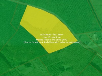 ��·��Թ�ҧ����ɵ��ŧ�˭� �.������ �.��� 18-2-64 ��� �Ҥ� 5.59 20-04-2026