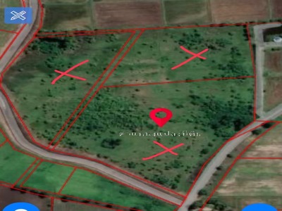 ��·��Թ�ŧ��� ���ŷͧ �����⤡���ç �ѧ��Ѵž���� 21-04-2026