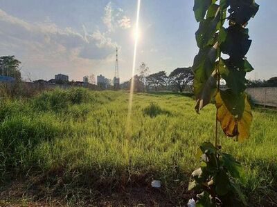 ���Թ���ŷͧ ��� 25 ��ҹ 2-1-24 ���. #�ѹ���๵� #�ѹ���� 29-04-2026