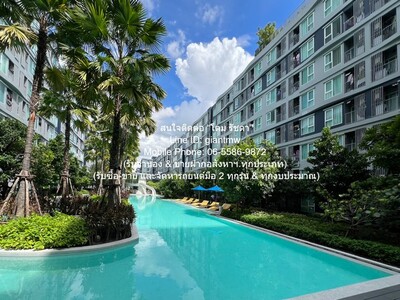 ��¤͹� ि ��ǹ� �����Ź�� (Kave Town Island) �֡ A ��� 2 05-05-2026