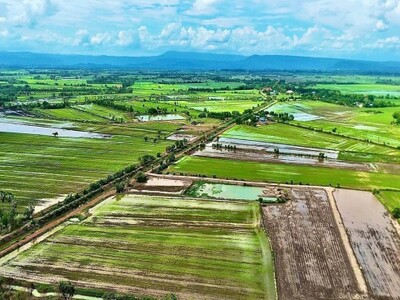 ให้เช่าโรงงานพระประแดง พื้นที่ 1,000 ตร.ม.ขอใบรง. 4ได้ พื้นที่สีม 07-05-2026