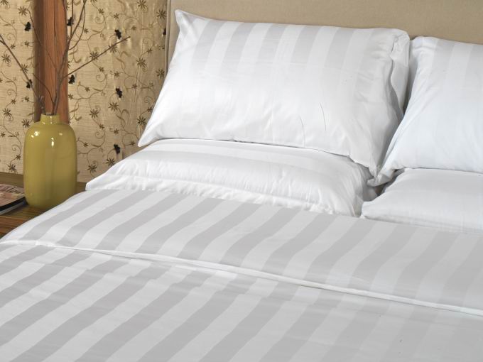 ��Ե��Ш�˹��� ��һٷ��͹ cotton100% ����Ѻ�ç��� ���ʻ�