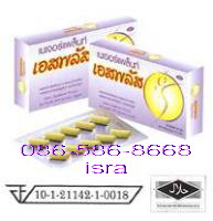 ��ʾ��� 850 �ҷ �ѭ�תʡѴŴ������ǹ (�������繷� ��ʾ���
