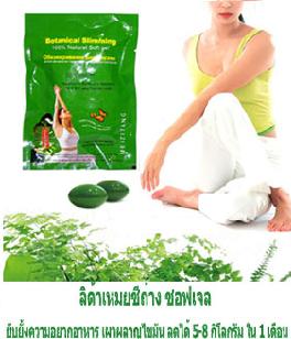Lida Meizitang Sofegel �Դ�����ªն�ҧ�Ϳ�� 36 �Ϳ��
