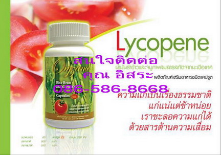 ����ѹ�Ӣ�����Ш�١����PG&P�����⤻Թ  �Ҥ� 550 �ҷ