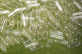 ��� ᤻������� Gelatin Capsule �ͧ���������� �ҤҶ١���