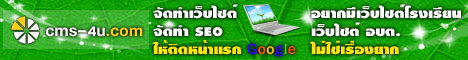 �Ѵ�����䫵���§����  �Ѵ�� SEO ���Դ˹���á Google