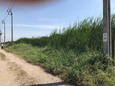 ขายที่ดินปล่าว 190 ตารางวา ซอยร่มเกล้า 19 ปากทางเข้าหมู่บ้านพาร