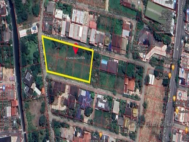 ��·��Թ���� ���ͷ�� 877 ���ҧ�� ����Ҵ����� 101 �¡ 7