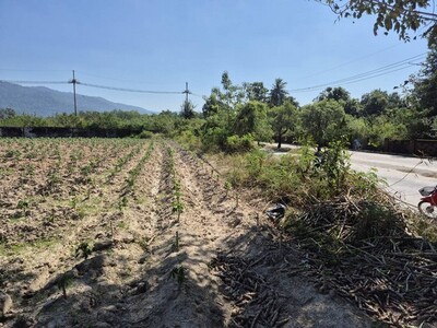 ��´�ǹ���Թ 75 ���ҧ�� ˹ͧ��Ǵ���� �.��Ҿ�Т͹��