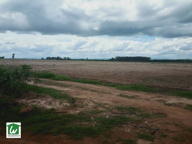 ���Թ ����͡�Թ������ ��Ҩչ���� ��·��Թ��Ҩչ�����190,000