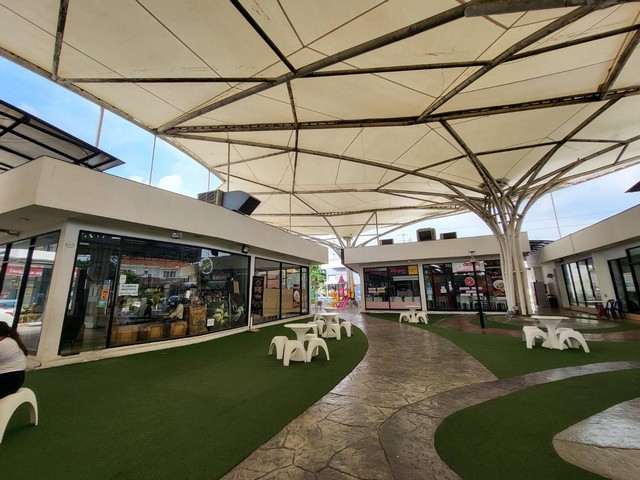 ��� ���Թ ����� ��áԨ�ٹ���ä�� ���Թ 6��� ��觻�١���ҧ 5,32