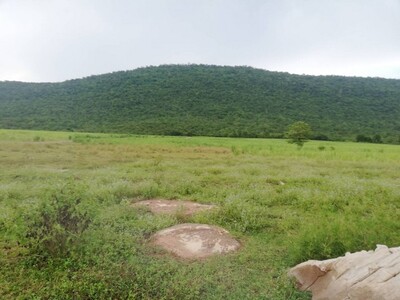 ��ѧ�����͡�٨Ѻ�ͧ��  �����µԴ�� ��͡���� �͹��