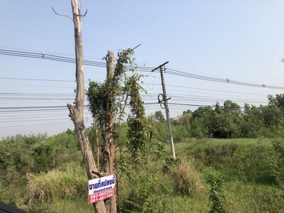 ��·��Թ 6 �ŧ �ŧ���1��� ��Ңͧ����ͧ �ѧ��Ѵ��ط��Ҥ�