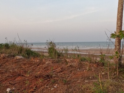 �ҷ�Ѿ���դ�ҵ�͹�Ѻ������  Seaview �Դ���� 19 ��� 3 �ҹ