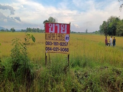 ��·����ҤҶ١ 14-1-41 ���  ��ҹ�֧��дҹ  ���ͧ��ɳ��š