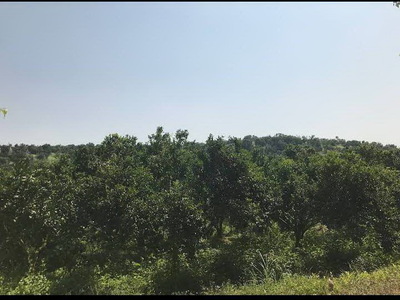 ��·�����ҵԴ����͹��� ������ҡ�з���ẹ