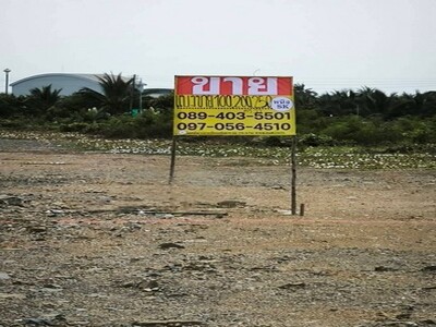 ขายที่ดิน 250 ตร.วา ชัยมงคล เมือง จ.สมุทรสาคร