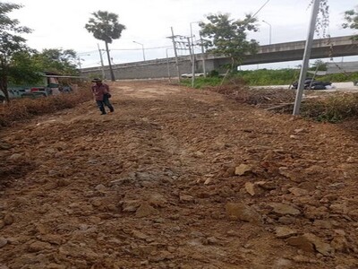 ��´�ǹ���Թ 19 ��� �Ӻ�˹ͧ����