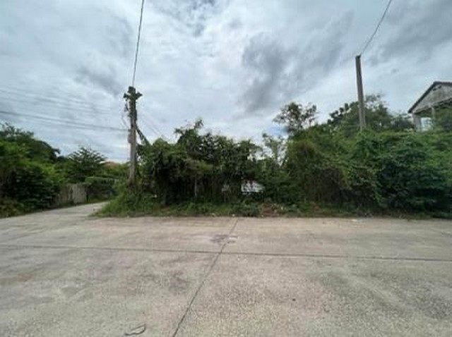 ��·��Թ �ѵ�Ҹ����� �����ҹ�Ҫ�ġ�������� ��Ҵ 60 ���ҧ��