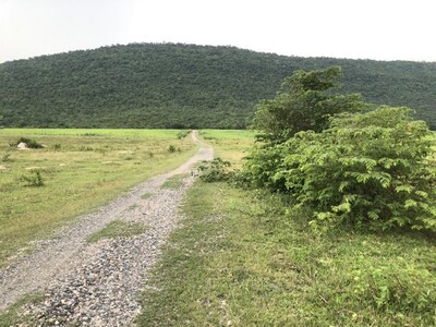 �����§ 1.79 ��ҹ ��ҹ����Ǫ������ 22 ���.