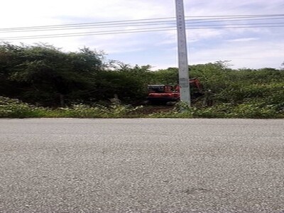 �����§ 5.5 ��ҹ ��ҹ����� 2 ��� ���ͷ�� 91 ���.