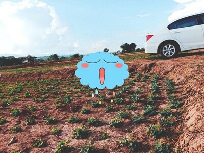 �����Һ�ҹ����� ��ҹ�ѹ����� ����ú���������