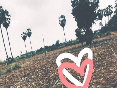 ������������Һ�ҹ�������ʷԨ ��͹�ت - ������ ��ѧ���