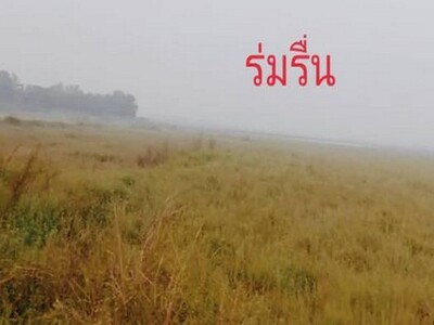 ��º�ҹ����� 2 ��� The Plant 1 ǧ��ǹ ����Թ���