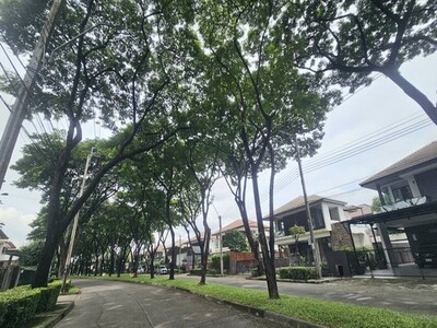 ��´�ǹ ��ҹ����� �ѳ��� ����Թ��� ǧ��ǹ ��ѧ��� Ŵ 2 ��ҹ