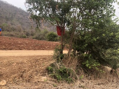 ��º�ҹ����� ��ҹ �ӹѡ�ҹ ���⡴ѧ