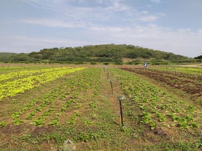 POR2551 ขาย บ้าน แกรนด์ บางกอก บูเลอวาร์ด รามอินทรา Grand Bangkok