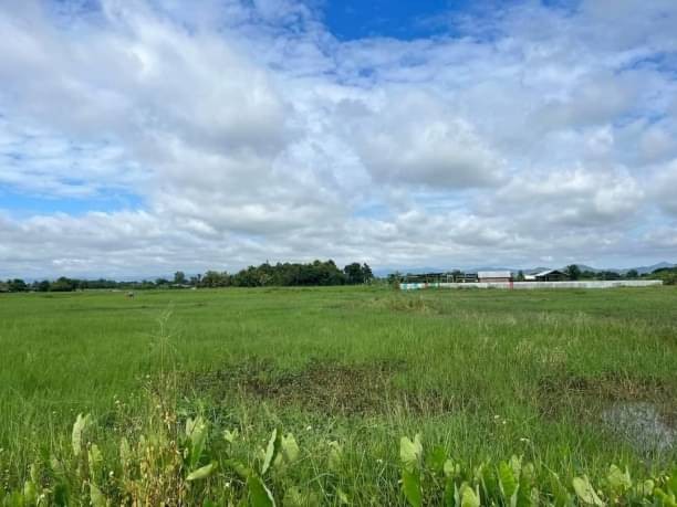 ��º�ҹ������ç��� �Թ�� ��¾�� �.���ͧ����ɮ��ҹ� �.����ɮ��