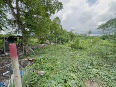 ขายบ้านเดียวหมู่บ้านกฤษดานคร 25 หลังบ้านติดบึง