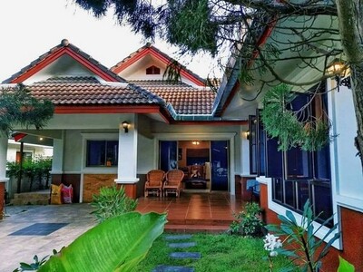 ��·��Թ�����������׹��� �ҡ��� 300 ���� �Ǿط�������� 8