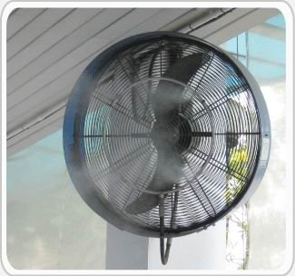 ����ԡ����ҾѴ���͹�ӻ�Ѻ�ҡ������Ѻ�Ѵ�ҹ