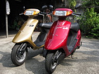 ���ö��ͻ HONDA Dj1 ����ͧ¹�� 50 cc ö��� 2 ö����Ҩҡ���
