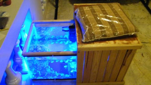��»��ʻ� Fish Spa �ء��Դ /�ù���ʻһ�� ��§ 8900 �.